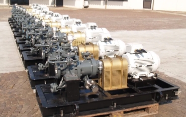 API685 magnetic drive pumps installed for the development plan of Tempa Rossa oilfield in Italy